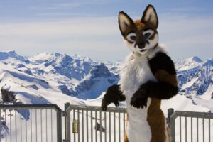 Rating: Safe Score: 0 Tags: 3:2 anthro canid canine clothed clothing costume e621 fox foxfur furryfoxfur fursuit grandfathered_content male mammal mountain outside real scenery scribblefox snow solo switzerland User: bunchy7s