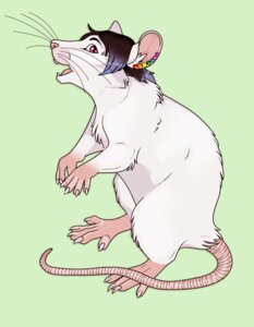 Rating: Safe Score: 0 Tags: 2010 digital_media_(artwork) e621 ear_piercing feral full-length_portrait male mammal mouse murid murine on_hind_legs piercing portrait rainbow_ear_ring rat rodent solo tail ziggy_(artist) User: bunchy7s