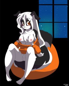 Rating: Explicit Score: 0 Tags: anthro black_background blaze984 blue_eyes border_collie breasts brown_hair canid canine canis clothing collie crossgender domestic_dog e621 female fur genitals hair herding_dog hi_res inside las_lindas looking_at_viewer mammal nipples pastoral_dog randal_hawthorne sheepdog simple_background snow solo sweater third-party_edit topwear vulva window User: bunchy7s