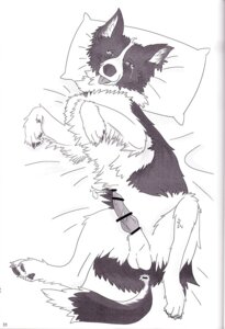 Rating: Explicit Score: 0 Tags: animal_genitalia anus balls bodily_fluids border_collie canid canine canis censor_bar censored collie cum domestic_dog dripping e621 erection feral genital_fluids genitals greyscale herding_dog ineffective_censorship knot ktq15 lying male mammal monochrome nude on_back pastoral_dog pawpads paws penis sheath sheepdog solo tears tongue unknown_artist User: bunchy7s