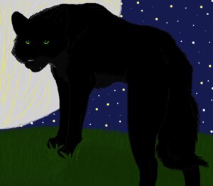 Rating: Safe Score: 0 Tags: ambiguous_gender black_body black_fur canid canine canis e621 feral fur grass green_eyes looking_at_viewer looking_back mammal moon night outside plant shadow sky solo star starry_sky whitenoise wolf User: bunchy7s Rating: Safe Score: 0 Tags: ambiguous_gender black_body black_fur canid canine canis e621 feral fur grass green_eyes looking_at_viewer looking_back mammal moon night outside plant shadow sky solo star starry_sky whitenoise wolf User: bunchy7s