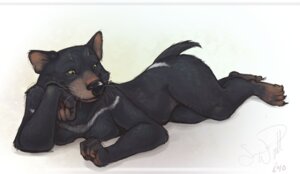 Rating: Safe Score: 0 Tags: 2010 5_fingers 5_toes anthro biped black_body black_fur black_nose brown_body brown_fur dasyurid dasyuromorph e621 feet female fingers fur humanoid_hands looking_aside lying mammal marsupial maxi-rover nude on_front simple_background solo tasmanian_devil toes whiskers white_background white_body white_fur User: bunchy7s