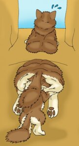 Rating: Questionable Score: 0 Tags: ambiguous_gender brown_body brown_fur canid canine canis duo e621 feet feral fur hi_res hindpaw mammal matchboxking overweight paws stuck tail wolf User: bunchy7s Rating: Questionable Score: 0 Tags: ambiguous_gender brown_body brown_fur canid canine canis duo e621 feet feral fur hi_res hindpaw mammal matchboxking overweight paws stuck tail wolf User: bunchy7s