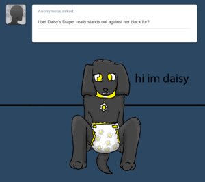 Rating: Safe Score: 0 Tags: 2013 anonymous anthro black_body black_fur blue_background canid canine clean_diaper clothed clothing collar daisy_(housepets!) dialogue diaper digital_media_(artwork) e621 english_text female flat_chested flower fur housepets! mammal plant simple_background solo text topless tumblr wearing_diaper white_diaper yellow_eyes yourfur User: bunchy7s