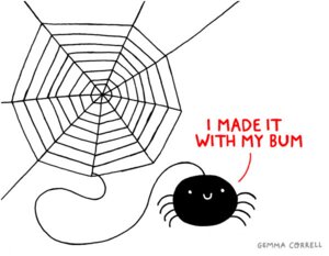 Rating: Safe Score: 0 Tags: ambiguous_gender arachnid arthropod arthropod_webbing e621 english_text gemma_correll simple_background smile solo spider spider_web text white_background User: bunchy7s