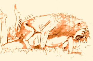 Rating: Explicit Score: 0 Tags: bestiality duo e621 felid female female_on_feral feral human human_on_feral interspecies lion male male/female male_on_human mammal pantherine sex unknown_artist User: bunchy7s Rating: Explicit Score: 0 Tags: bestiality duo e621 felid female female_on_feral feral human human_on_feral interspecies lion male male/female male_on_human mammal pantherine sex unknown_artist User: bunchy7s
