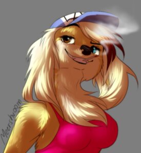 Rating: Safe Score: 0 Tags: alpha_channel anthro breasts canid canine cigarette clothing e621 female grin hat headgear headwear heterochromia low_res mammal meershroom signature smile smoke smoking solo teeth User: bunchy7s