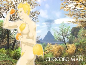 Rating: Explicit Score: 0 Tags: ass beige_skin blonde_hair chest_tuft chocobo color day final_fantasy hair male male_only outdoors pubic_hair purple_eyes round_ears rule34 short_hair side_view sky smile smoke solo standing tail wink User: bunchy7s