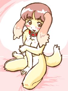 Rating: Questionable Score: 0 Tags: 3:4 5_fingers anthro biped blush breasts canid canine canis collar covering covering_breasts covering_self dipstick_ears domestic_dog e621 ear_markings feet female fingers fur hair humanoid_hands kemono kin-shun long_ears low_res mai_(kin-shun) mammal markings multicolored_ears nude short_hair sitting smile solo tail white_body white_fur User: bunchy7s Rating: Questionable Score: 0 Tags: 3:4 5_fingers anthro biped blush breasts canid canine canis collar covering covering_breasts covering_self dipstick_ears domestic_dog e621 ear_markings feet female fingers fur hair humanoid_hands kemono kin-shun long_ears low_res mai_(kin-shun) mammal markings multicolored_ears nude short_hair sitting smile solo tail white_body white_fur User: bunchy7s