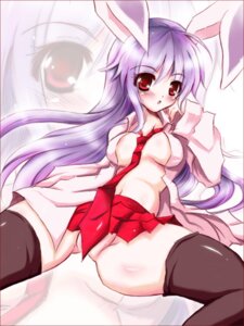 Rating: Questionable Score: 0 Tags: animal_ear bunny_ear female footwear long_hair no_panties nude purple_hair reisen_udongein_inaba rule34 satou_kuroon skirt socks solo thighhighs touhou User: bunchy7s