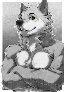 Rating: Safe Score: 0 Tags: abstract_background aluminemsiren anthro biceps black_nose brown_eyes canid canine canis chest_tuft crossed_arms e621 front_view fur grey_body grey_fur half-length_portrait male mammal muscular muscular_anthro muscular_male pecs portrait simple_background smile solo teeth tuft white_body white_fur wolf User: bunchy7s Rating: Safe Score: 0 Tags: abstract_background aluminemsiren anthro biceps black_nose brown_eyes canid canine canis chest_tuft crossed_arms e621 front_view fur grey_body grey_fur half-length_portrait male mammal muscular muscular_anthro muscular_male pecs portrait simple_background smile solo teeth tuft white_body white_fur wolf User: bunchy7s