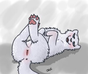 Rating: Explicit Score: 0 Tags: abstract_background animal_genitalia animal_vulva anus blush butt canine_genitalia canine_vulva digitoxici e621 felid female feral genitals looking_at_viewer lying mammal on_back open_mouth pawpads paws presenting presenting_hindquarters signature simple_background smile solo vulva User: bunchy7s Rating: Explicit Score: 0 Tags: abstract_background animal_genitalia animal_vulva anus blush butt canine_genitalia canine_vulva digitoxici e621 felid female feral genitals looking_at_viewer lying mammal on_back open_mouth pawpads paws presenting presenting_hindquarters signature simple_background smile solo vulva User: bunchy7s