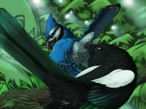 Rating: Explicit Score: 0 Tags: 2011 ambiguous_gender animal_genitalia avian beak beak_fetish beak_fuck beak_in_cloaca beak_play beak_sex bird black_body black_feathers blue_jay bodily_fluids cloaca cloacal cloacalingus corvid cum duo e621 eurasian_magpie feathers feral feral_on_feral genital_fluids genitals holarctic_magpie jay_(bird) leaf magpie_(corvid) new_world_jay oral oscine passerine raised_tail sex snout_fuck tail tail_feathers wairu white_body white_feathers User: bunchy7s