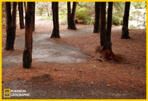 Rating: Explicit Score: 0 Tags: ambiguous_gender beady_eyes border brown_body brown_ears brown_face brown_fur brown_tail canid canine detailed_background e621 feces feral forest fur generation_1_pokemon izzatakiwa mammal mixed_media monotone_face monotone_tail multi_tail national_geographic nature nintendo outside parody photo_background photography_(artwork) plant pokemon pokemon_(species) pokemon_geographic pooping quadruped snout solo tail tree vulpix wood yellow_border User: bunchy7s