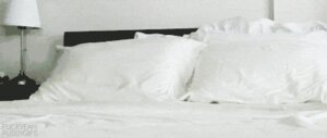 Rating: Safe Score: 0 Tags: 2011 ambiguous_gender animated animated_gif bed domestic_cat e621 felid feline felis feral fluffy fur furniture grandfathered_content greyscale humor looking_at_viewer loop low_res lying mammal meme monochrome pillow quadruped real running short_playtime solo surprised tail unknown_artist white_body white_fur young young_feral User: bunchy7s