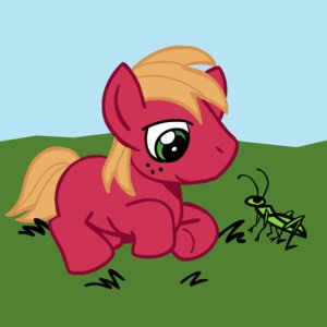 Rating: Safe Score: 0 Tags: 1:1 antennae_(anatomy) arthropod big_eyes big_head big_macintosh_(mlp) cricket day detailed_background dizzypacce duo e621 earth_pony equid equine feral freckles friendship_is_magic fur green_body green_eyes hair hasbro horse insect looking_at_another male mammal my_little_pony nude orange_hair orthopterid outside pony quadruped red_body red_fur side_view size_difference sky smile tail toony young young_feral User: bunchy7s