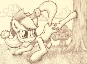 Rating: Safe Score: 0 Tags: 2013 applejack_(mlp) clothing cowboy_hat cutie_mark digitigrade e621 earth_pony equid equine female feral freckles friendship_is_magic greyscale hasbro hat headgear headwear hi_res horse kick mammal monochrome my_little_pony plant pony punkpega solo traditional_media_(artwork) tree User: bunchy7s