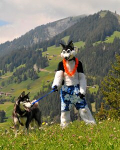Rating: Safe Score: 0 Tags: alaskan_malamute anthro canid canine canis clothing cloud costume detailed_background domestic_dog duo e621 feral fursuit grandfathered_content hi_res male mammal mixed_media nature nordic_sled_dog outside photo_background photography_(artwork) real scenery shiba_inu sky spitz switzerland unknown_artist User: bunchy7s Rating: Safe Score: 0 Tags: alaskan_malamute anthro canid canine canis clothing cloud costume detailed_background domestic_dog duo e621 feral fursuit grandfathered_content hi_res male mammal mixed_media nature nordic_sled_dog outside photo_background photography_(artwork) real scenery shiba_inu sky spitz switzerland unknown_artist User: bunchy7s