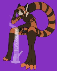 Rating: Explicit Score: 0 Tags: ailurid anthro black_penis bong drugs e621 ear_piercing erection facial_piercing full-length_portrait genitals hi_res male mammal nude paigeforsyth paws penis piercing portrait red_panda solo stoned stripes substance_intoxication tail User: bunchy7s