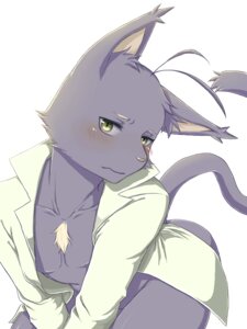 Rating: Questionable Score: 0 Tags: 3:4 anthro blush chest_tuft clothing domestic_cat e621 felid feline felis fur green_eyes kitsune_tsu_(konkonkoz) looking_at_viewer male mammal morenatsu shin_kuroi simple_background solo tuft white_background User: bunchy7s