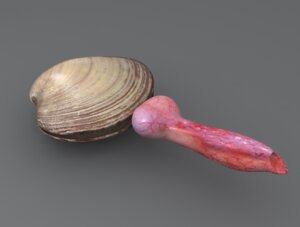 Rating: Explicit Score: 0 Tags: clam male male_only rule34 tagme User: bunchy7s