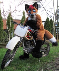 Rating: Safe Score: 0 Tags: anthro blue_eyes canid canine clothing costume dirt_bike e621 fox fursuit grandfathered_content hair hi_res looking_at_viewer male mammal plant real red_hair solo tail tree unknown_artist wood User: bunchy7s Rating: Safe Score: 0 Tags: anthro blue_eyes canid canine clothing costume dirt_bike e621 fox fursuit grandfathered_content hair hi_res looking_at_viewer male mammal plant real red_hair solo tail tree unknown_artist wood User: bunchy7s