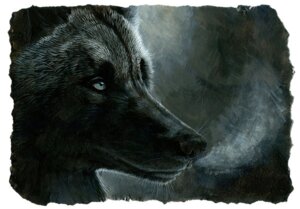 Rating: Safe Score: 0 Tags: armstrong black_body black_fur breath bust_portrait canid canine canis e621 feral fur hibbary male mammal portrait solo wolf User: bunchy7s Rating: Safe Score: 0 Tags: armstrong black_body black_fur breath bust_portrait canid canine canis e621 feral fur hibbary male mammal portrait solo wolf User: bunchy7s