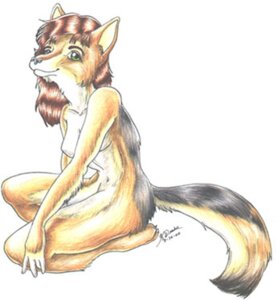 Rating: Questionable Score: 0 Tags: anthro biped breasts brown_hair canid canine canis coyote e621 featureless_breasts female hair kneeling kristin_deeds low_res mammal nude simple_background solo tail white_background User: bunchy7s Rating: Questionable Score: 0 Tags: anthro biped breasts brown_hair canid canine canis coyote e621 featureless_breasts female hair kneeling kristin_deeds low_res mammal nude simple_background solo tail white_background User: bunchy7s