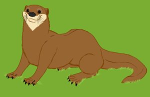 Rating: Safe Score: 0 Tags: 2010 5_toes barkwoof black_nose brown_body brown_eyes brown_fur claws e621 feet feral fur grass green_background looking_aside looking_at_viewer male mammal mustelid nude otter plant simple_background smile solo tail toes whiskers User: bunchy7s Rating: Safe Score: 0 Tags: 2010 5_toes barkwoof black_nose brown_body brown_eyes brown_fur claws e621 feet feral fur grass green_background looking_aside looking_at_viewer male mammal mustelid nude otter plant simple_background smile solo tail toes whiskers User: bunchy7s