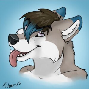Rating: Safe Score: 0 Tags: anthro brown_hair bust_portrait canid canine canis clothed clothing e621 eye_through_hair fox hair hair_over_eye icon jupiter_fox low_res male mammal one_eye_obstructed portrait purple_eyes signature smile solo tiberius_wolf tongue tongue_out topless translucent translucent_hair wolf User: bunchy7s Rating: Safe Score: 0 Tags: anthro brown_hair bust_portrait canid canine canis clothed clothing e621 eye_through_hair fox hair hair_over_eye icon jupiter_fox low_res male mammal one_eye_obstructed portrait purple_eyes signature smile solo tiberius_wolf tongue tongue_out topless translucent translucent_hair wolf User: bunchy7s
