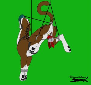 Rating: Explicit Score: 0 Tags: anus backsack baculum balls banding bdsm bisected bloodless bondage bone bound canid canine cheetahlover cock_and_ball_torture e621 erection exposed_bone exposed_testicle feet felid feral genital_bisection genital_mutilation genital_torture genitals gore gore_focus hindpaw hybrid knot male mammal misleading_thumbnail mutilation muzzle_(object) muzzled nightmare_fuel nude paws penile_spines penis raised_tail restraints slit_scrotum solo spread_legs spreader_bar spreading suspension tail torture what wounded User: bunchy7s