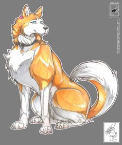 Rating: Safe Score: 0 Tags: 2013 4_toes absurd_res alpha_channel blue_eyes canid canine canis claws collar dated digitigrade domestic_dog e621 feet female feral fur hi_res husky mammal multicolored_body multicolored_fur nordic_sled_dog quadruped solo spitz tail toe_claws toes traditional_media_(artwork) walter_sache User: bunchy7s Rating: Safe Score: 0 Tags: 2013 4_toes absurd_res alpha_channel blue_eyes canid canine canis claws collar dated digitigrade domestic_dog e621 feet female feral fur hi_res husky mammal multicolored_body multicolored_fur nordic_sled_dog quadruped solo spitz tail toe_claws toes traditional_media_(artwork) walter_sache User: bunchy7s