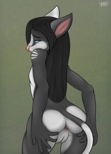 Rating: Explicit Score: 0 Tags: anthro anus biped black_hair blue_eyes breasts butt domestic_cat e621 featureless_breasts felid feline felis female flat_chested fur genitals grey_body grey_fur hair hi_res long_hair looking_at_viewer looking_back mammal multicolored_body multicolored_fur nude pink_nose presenting presenting_hindquarters rear_view simple_background solo spread_butt spreading tail two_tone_body two_tone_fur vannie vulva white_body white_fur young young_anthro young_female User: bunchy7s