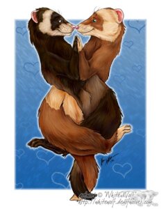Rating: Safe Score: 0 Tags: ambiguous_gender border brown_body brown_fur claws domestic_ferret duo e621 entwined entwined_tails eye_contact feet feral fur hand_holding heart_symbol looking_at_another mammal mustelid musteline nose_bump nose_to_nose nude pink_nose romantic romantic_ambiance romantic_couple side_view smile symmetry tail tail_coil tan_body tan_fur true_musteline weasel whiskers white_border whitewolf whitewolf_(artist) User: bunchy7s