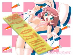 Rating: Explicit Score: 0 Tags: 1girls agaa_(masatu) breasts bunny_ears female milestone_celebration open_mouth pastel_(twinbee) rule34 sling_bikini swimsuit twinbee User: bunchy7s