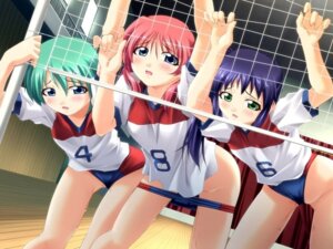 Rating: Explicit Score: 0 Tags: artist_request bent_over buruma buruma_pull copyright_request female female_only gym_uniform jpeg_artifacts multiple_females multiple_girls pussy pussy_juice rule34 take_your_pick volleyball volleyball_net User: bunchy7s