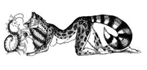 Rating: Questionable Score: 0 Tags: 4_fingers 4_toes all_fours anthro aquatic arthropod bad_metadata barefoot black_and_white breasts civet crustacean curiosity duo e621 eye_contact feet female fingers flexible fur hair humanoid_feet humanoid_hands kris_andrews looking_at_another mammal missing_sample monochrome nayani nipples nude plantigrade side_view simple_background size_difference solo_focus spots stripes tail toes viverrid white_background User: bunchy7s Rating: Questionable Score: 0 Tags: 4_fingers 4_toes all_fours anthro aquatic arthropod bad_metadata barefoot black_and_white breasts civet crustacean curiosity duo e621 eye_contact feet female fingers flexible fur hair humanoid_feet humanoid_hands kris_andrews looking_at_another mammal missing_sample monochrome nayani nipples nude plantigrade side_view simple_background size_difference solo_focus spots stripes tail toes viverrid white_background User: bunchy7s