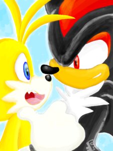 Rating: Safe Score: 0 Tags: 3:4 anthro black_body black_fur blue_eyes canid canine clothing digital_media_(artwork) duo e621 eulipotyphlan fakerface fox fur gloves handwear hedgehog male mammal miles_prower oekaki red_eyes sega shadow_the_hedgehog sonic_the_hedgehog_(series) unavailable_at_source User: bunchy7s Rating: Safe Score: 0 Tags: 3:4 anthro black_body black_fur blue_eyes canid canine clothing digital_media_(artwork) duo e621 eulipotyphlan fakerface fox fur gloves handwear hedgehog male mammal miles_prower oekaki red_eyes sega shadow_the_hedgehog sonic_the_hedgehog_(series) unavailable_at_source User: bunchy7s