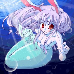 Rating: Questionable Score: 0 Tags: animal_ear breasts bunny_ear female lowres merfolk mermaid monster_girl natsumi_akira nude reisen_udongein_inaba rule34 solo topless touhou underwater User: bunchy7s