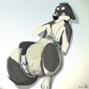 Rating: Explicit Score: 0 Tags: 1:1 2013 ambiguous_gender auren-darklite blush bodily_fluids border_collie canid canine canis clothing collie diaper domestic_dog e621 feces feral fur genital_fluids herding_dog hi_res lying mammal pastoral_dog peeing pooping scatplay sheepdog soiled_diaper soiling solo unclean_diaper urine used_diaper white_diaper User: bunchy7s