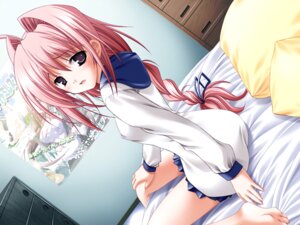 Rating: Explicit Score: 0 Tags: bed braid dutch_angle female game_cg maji-res majiresu!!_~omatase_little_wing~ misakura_nankotsu misora_tsubasa pink_hair rule34 solo User: bunchy7s Rating: Explicit Score: 0 Tags: bed braid dutch_angle female game_cg maji-res majiresu!!_~omatase_little_wing~ misakura_nankotsu misora_tsubasa pink_hair rule34 solo User: bunchy7s