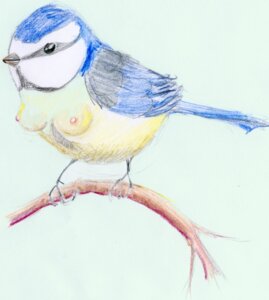 Rating: Questionable Score: 0 Tags: avian bird branch breasts busty_feral e621 eurasian_blue_tit female feral hi_res humor in_tree nipples non-mammal_breasts non-mammal_nipples oscine passerine plant pun small_breasts solo tit_(bird) traditional_media_(artwork) tree what what_has_science_done xiremia User: bunchy7s Rating: Questionable Score: 0 Tags: avian bird branch breasts busty_feral e621 eurasian_blue_tit female feral hi_res humor in_tree nipples non-mammal_breasts non-mammal_nipples oscine passerine plant pun small_breasts solo tit_(bird) traditional_media_(artwork) tree what what_has_science_done xiremia User: bunchy7s