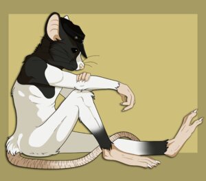 Rating: Safe Score: 0 Tags: 2010 anthro biped clothing digital_media_(artwork) e621 hat hat_only headgear headgear_only headwear headwear_only male mammal mostly_nude mouse murid murine pose rodent side_view simple_background sitting solo tail tan_background ziggy_(artist) User: bunchy7s
