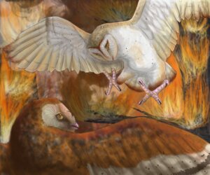 Rating: Safe Score: 0 Tags: 2010 6:5 ambiguous_gender avian barn_owl bird brown_body brown_feathers detailed_background digital_media_(artwork) digital_painting_(artwork) duo e621 feathered_wings feathers feet feral fire flying forest_fire guardians_of_ga'hoole hi_res nyra_(gogh) outside owl painting_(artwork) plant scared shaded soren_(gogh) talons tan_body tan_feathers teezgeez toes tree true_owl tyto tytonid western_barn_owl white_body white_feathers wings User: bunchy7s