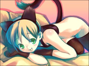 Rating: Explicit Score: 0 Tags: animal_ears blush bottomless cat_ears cat_girl catgirl cute_fang female flat_chest gloves nekomimi no_panties rule34 short_hair soine tail thighhighs wallpaper User: bunchy7s