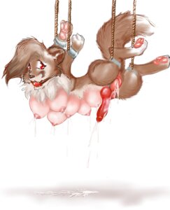 Rating: Explicit Score: 0 Tags: anthro areola ball_gag bdsm bodily_fluids bondage bound breasts drooling e621 erection gag gagged genitals hanging_breasts herm intersex lactating milk multi_breast nipples nude nullenigma paws penis red_eyes rope saliva simple_background solo submissive submissive_intersex tail vulva white_background User: bunchy7s Rating: Explicit Score: 0 Tags: anthro areola ball_gag bdsm bodily_fluids bondage bound breasts drooling e621 erection gag gagged genitals hanging_breasts herm intersex lactating milk multi_breast nipples nude nullenigma paws penis red_eyes rope saliva simple_background solo submissive submissive_intersex tail vulva white_background User: bunchy7s