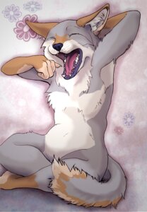 Rating: Safe Score: 0 Tags: ambiguous_gender anthro brown_body brown_fur canid canine canis coyote e621 featureless_crotch feracoyote fur grey_body grey_fur mammal open_mouth simple_background solo tail textured_background yawn User: bunchy7s