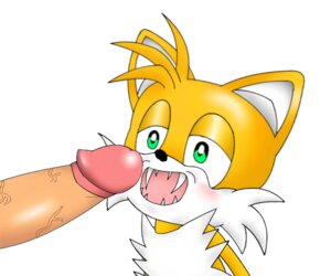 Rating: Explicit Score: 0 Tags: 6:5 anthro canid canine circumcised circumcision_scar disembodied_penis duo e621 erection fangs fox genital_scar genitals glans green_eyes humanoid_genitalia humanoid_penis male male/male mammal miles_prower ouch penis scar sega simple_background size_difference sonic_the_hedgehog_(series) teeth unknown_artist white_background User: bunchy7s Rating: Explicit Score: 0 Tags: 6:5 anthro canid canine circumcised circumcision_scar disembodied_penis duo e621 erection fangs fox genital_scar genitals glans green_eyes humanoid_genitalia humanoid_penis male male/male mammal miles_prower ouch penis scar sega simple_background size_difference sonic_the_hedgehog_(series) teeth unknown_artist white_background User: bunchy7s