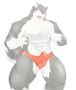 Rating: Explicit Score: 0 Tags: abs anthro balls barazoku biceps blush bulge canid canine canis clothed clothing domestic_dog e621 erection genitals hati-skm hi_res kemono male mammal muscular muscular_anthro muscular_male nipples pecs penis solo speedo swimwear tail topless vein wolf User: bunchy7s