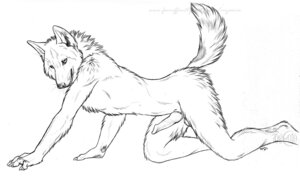 Rating: Explicit Score: 0 Tags: 2011 all_fours animal_genitalia animal_penis anthro balls biped canid canine canine_genitalia canine_penis canis claws detailed e621 erection feet fur genitals greyscale knot looking_aside male mammal monochrome myenia nude penis raised_tail side_view simple_background sketch solo tail whiskers white_background wolf User: bunchy7s Rating: Explicit Score: 0 Tags: 2011 all_fours animal_genitalia animal_penis anthro balls biped canid canine canine_genitalia canine_penis canis claws detailed e621 erection feet fur genitals greyscale knot looking_aside male mammal monochrome myenia nude penis raised_tail side_view simple_background sketch solo tail whiskers white_background wolf User: bunchy7s
